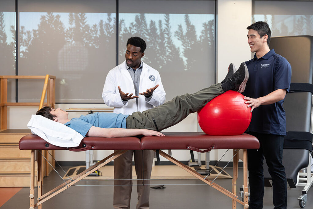 Doctor of Physical Therapy (DPT)