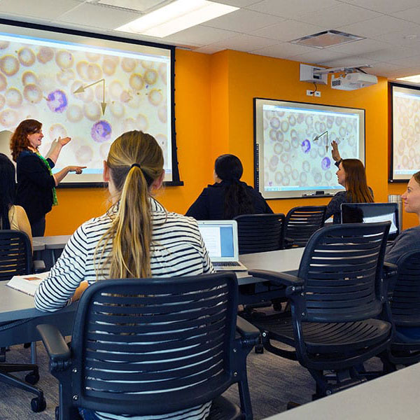 Miami Campus