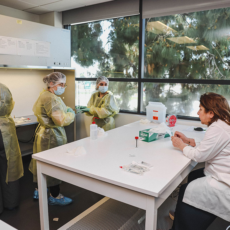 Why Pursue a PharmD Degree at WCU?